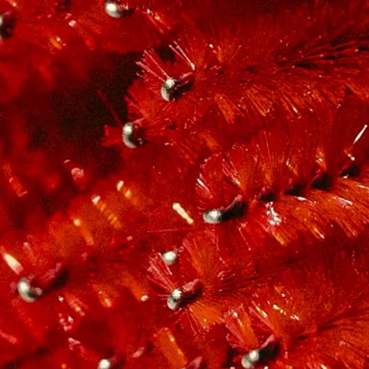 VIP Lash Club at Blush Beauty Bar in Newport, TN